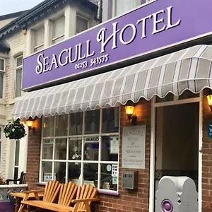 Seagull Bed and breakfast